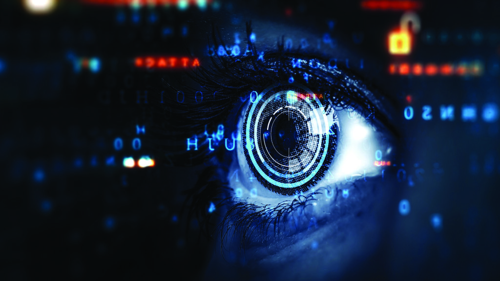 What eye tracking tells us about presenting past performance to clients ...